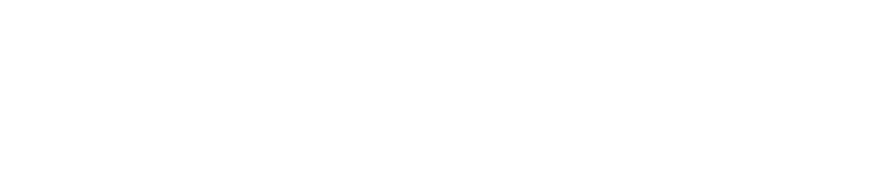 Nocoja logo png weiß